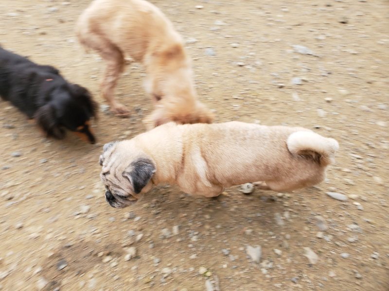 f:id:roukenhome-ann:20191024051738j:plain