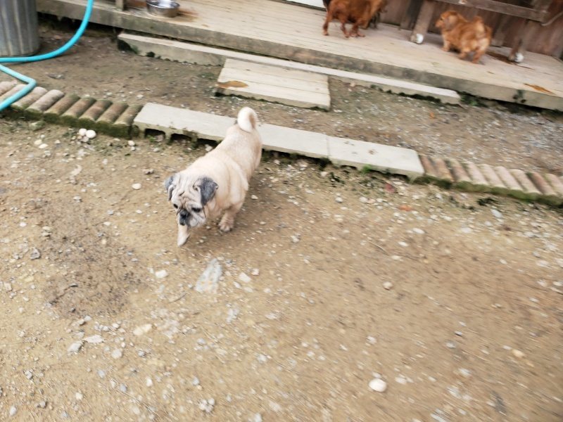 f:id:roukenhome-ann:20191024051754j:plain