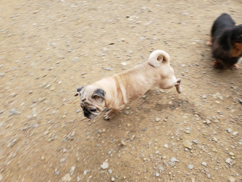f:id:roukenhome-ann:20191024051811j:plain