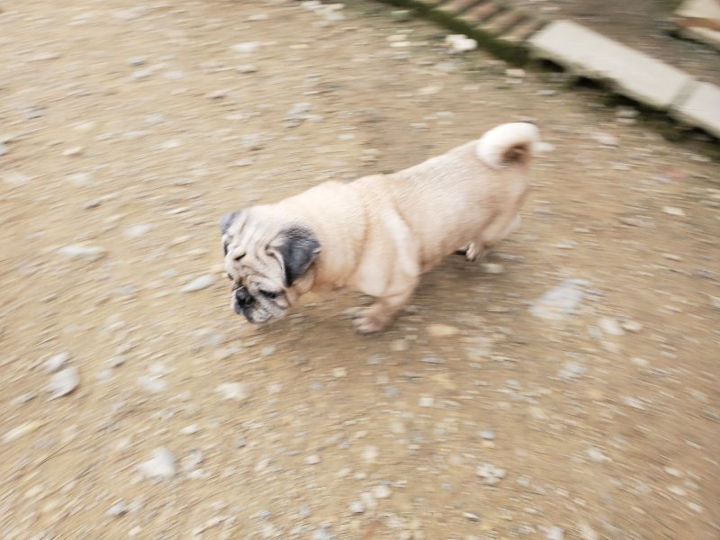 f:id:roukenhome-ann:20191024051823j:plain