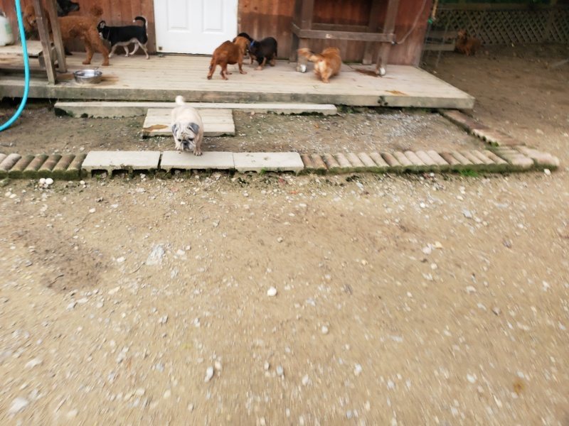 f:id:roukenhome-ann:20191024051832j:plain