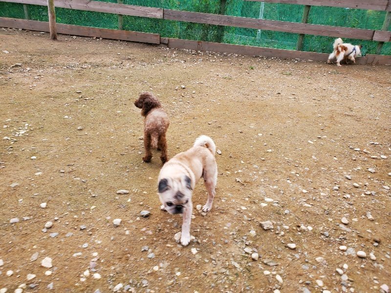 f:id:roukenhome-ann:20191024051917j:plain