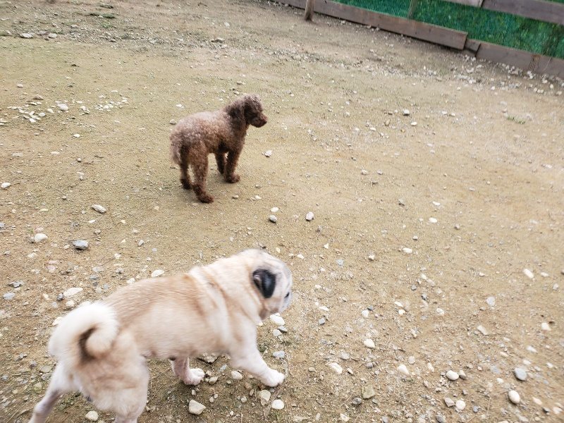 f:id:roukenhome-ann:20191024051934j:plain