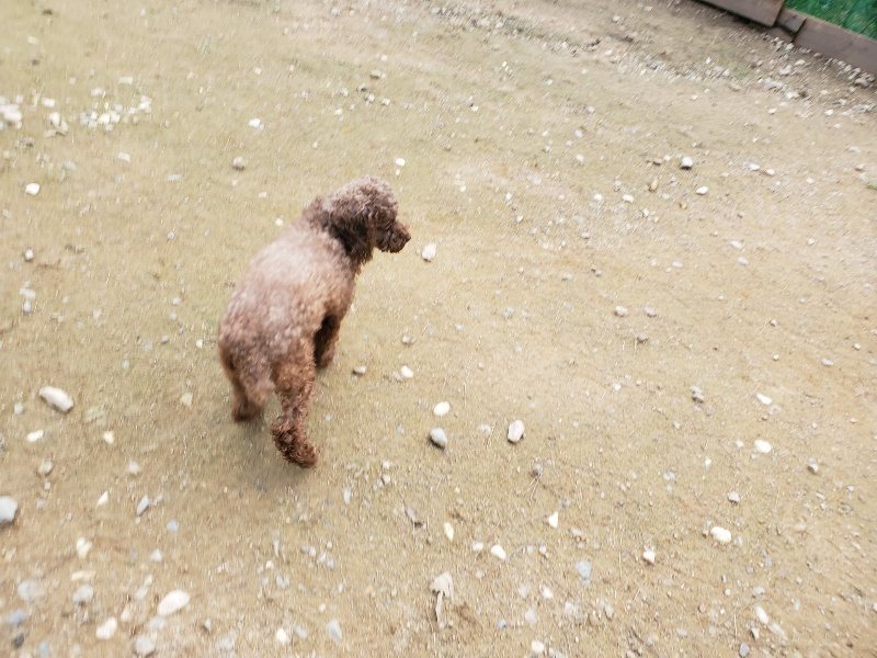 f:id:roukenhome-ann:20191024052005j:plain