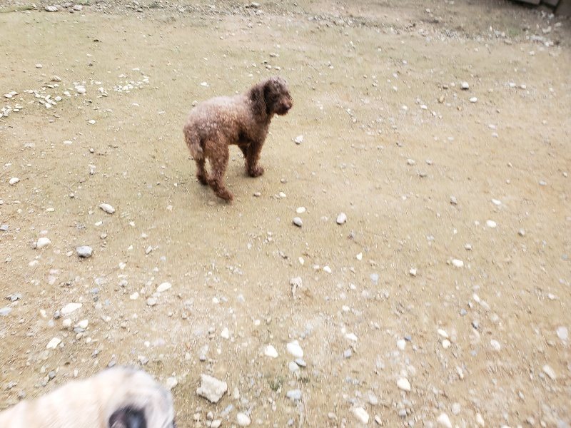 f:id:roukenhome-ann:20191024052017j:plain