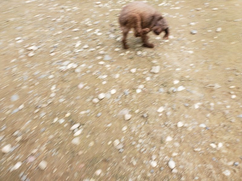 f:id:roukenhome-ann:20191024052040j:plain