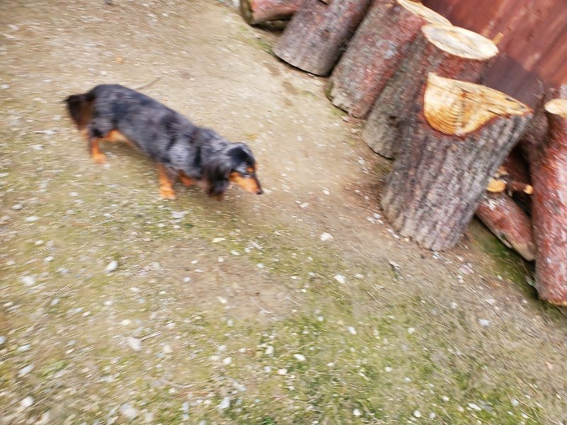 f:id:roukenhome-ann:20191024061610j:plain