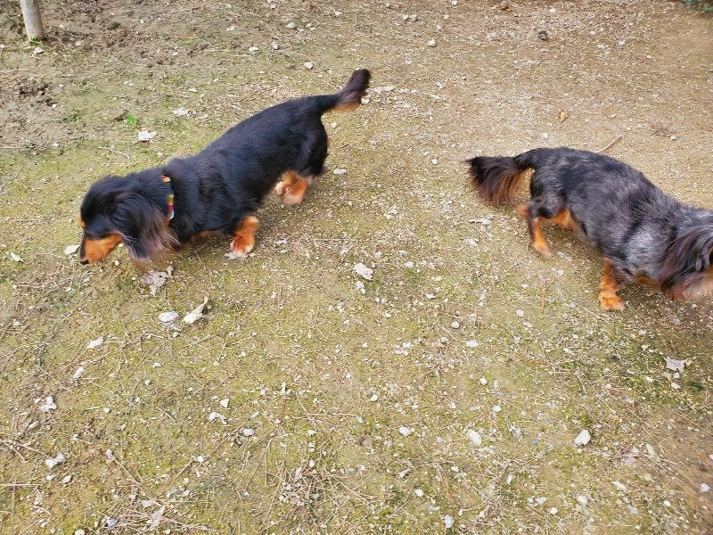 f:id:roukenhome-ann:20191024061623j:plain