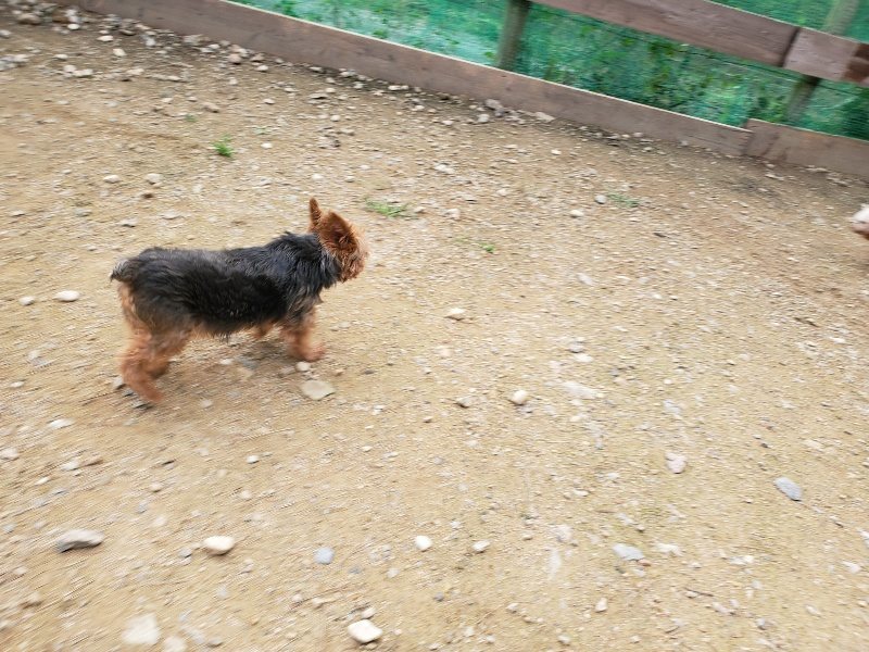 f:id:roukenhome-ann:20191024061631j:plain