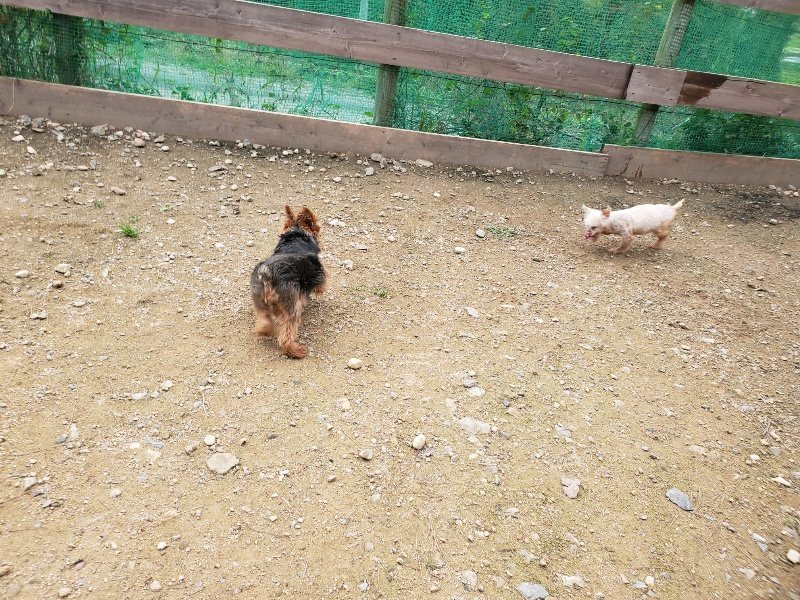 f:id:roukenhome-ann:20191024061644j:plain
