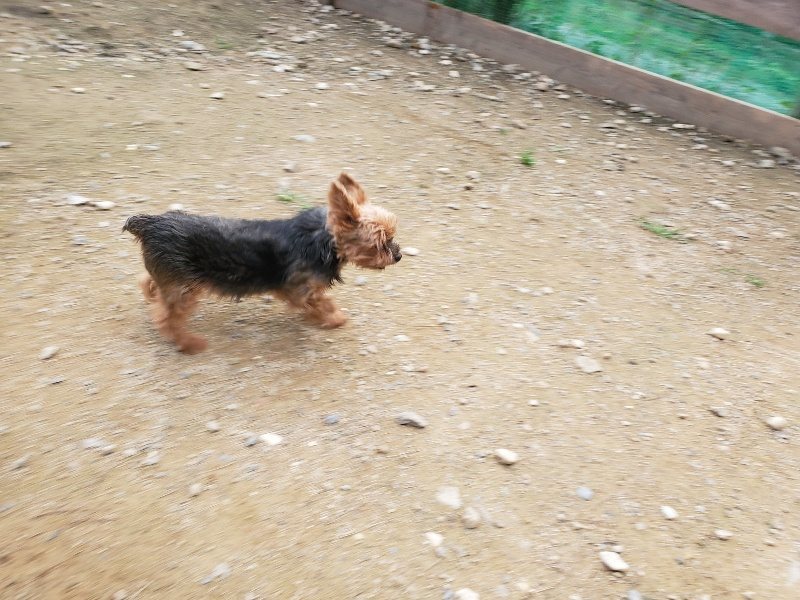 f:id:roukenhome-ann:20191024061703j:plain