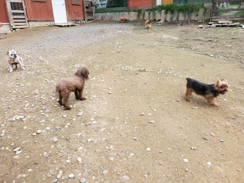 f:id:roukenhome-ann:20191024061711j:plain