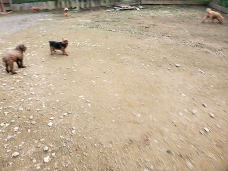 f:id:roukenhome-ann:20191024061716j:plain