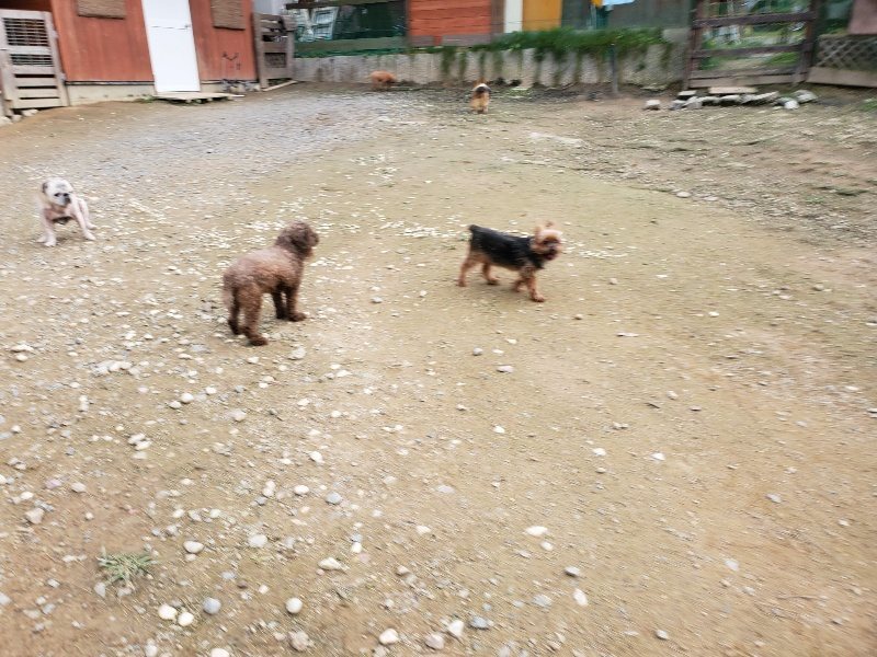f:id:roukenhome-ann:20191024061722j:plain