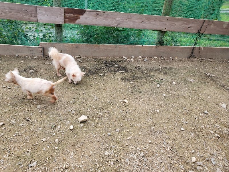 f:id:roukenhome-ann:20191024061730j:plain