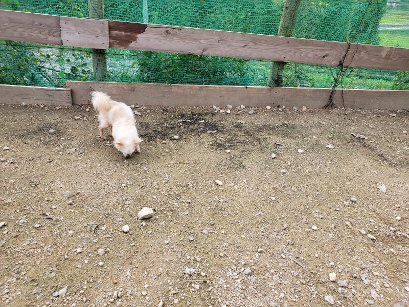 f:id:roukenhome-ann:20191024061741j:plain