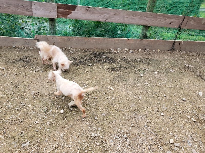 f:id:roukenhome-ann:20191024061753j:plain