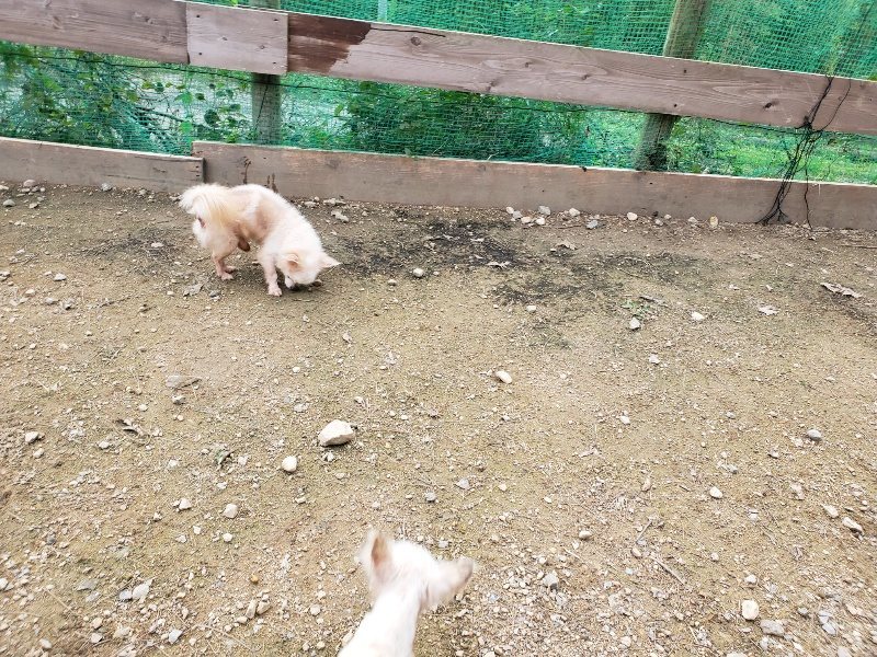 f:id:roukenhome-ann:20191024061803j:plain