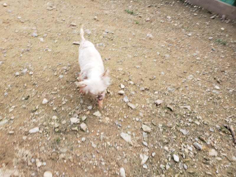 f:id:roukenhome-ann:20191024061813j:plain