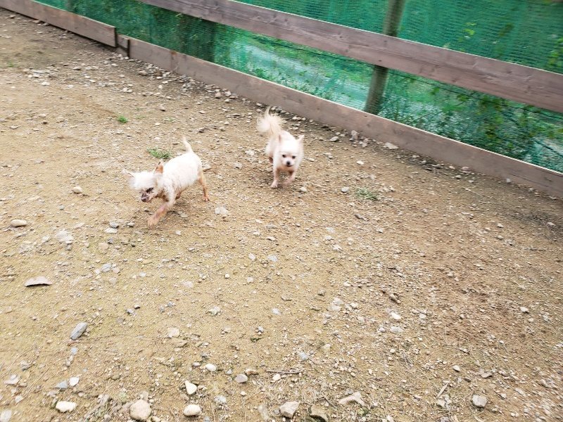 f:id:roukenhome-ann:20191024061820j:plain