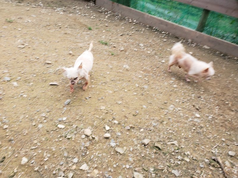 f:id:roukenhome-ann:20191024061827j:plain