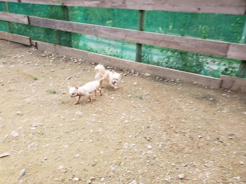f:id:roukenhome-ann:20191024061840j:plain