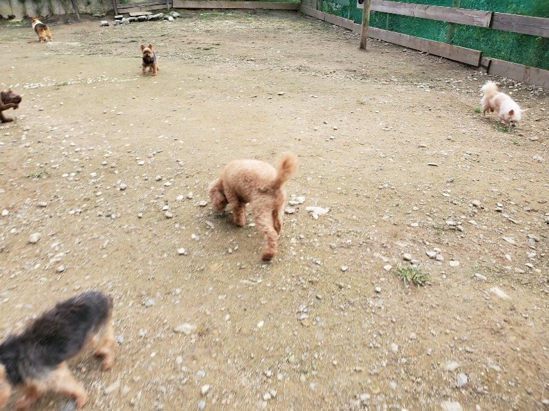 f:id:roukenhome-ann:20191024061849j:plain
