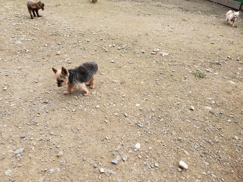 f:id:roukenhome-ann:20191024061912j:plain