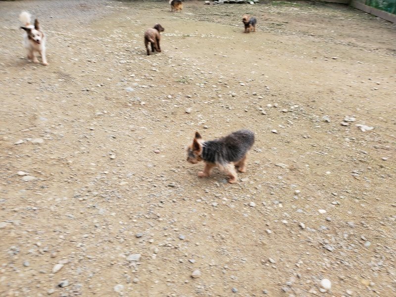 f:id:roukenhome-ann:20191024061921j:plain