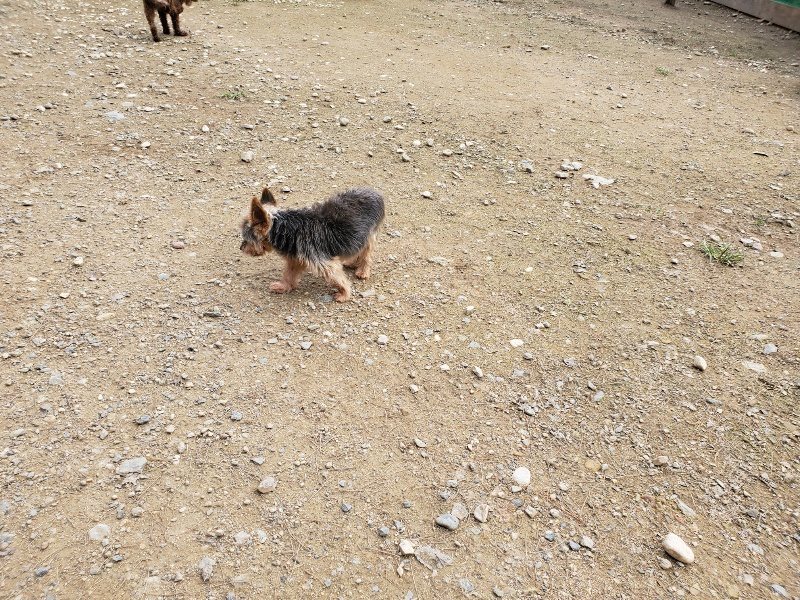 f:id:roukenhome-ann:20191024061929j:plain