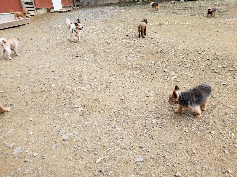 f:id:roukenhome-ann:20191024061938j:plain