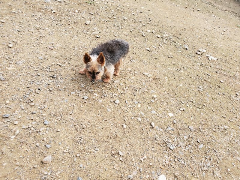 f:id:roukenhome-ann:20191024061946j:plain