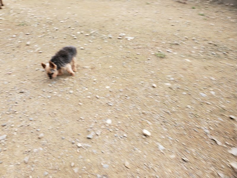 f:id:roukenhome-ann:20191024061954j:plain