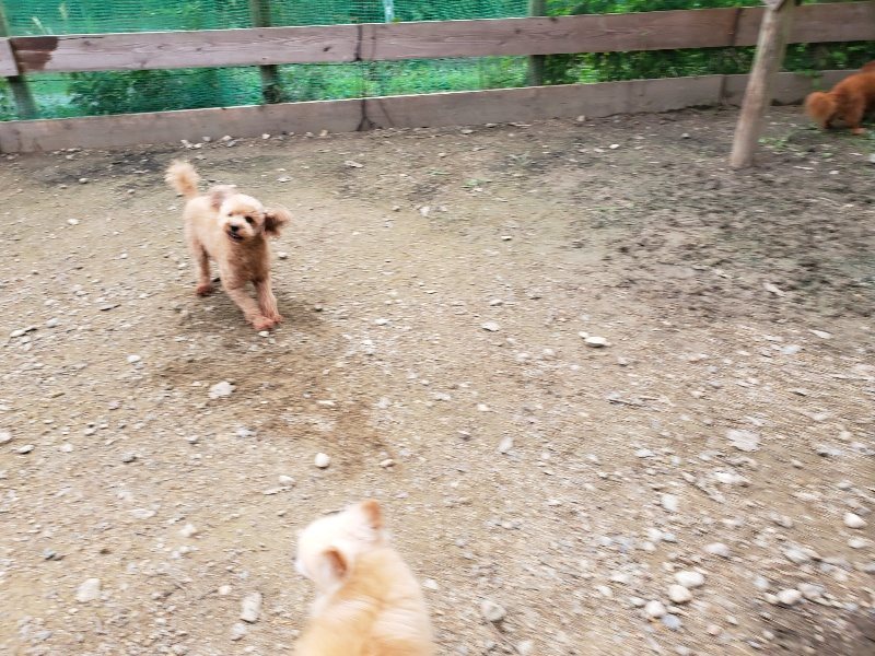f:id:roukenhome-ann:20191024062013j:plain