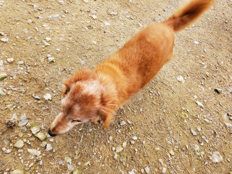 f:id:roukenhome-ann:20191024062710j:plain
