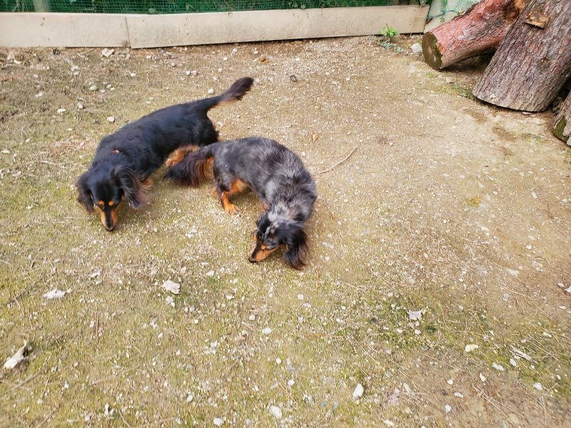 f:id:roukenhome-ann:20191024062728j:plain