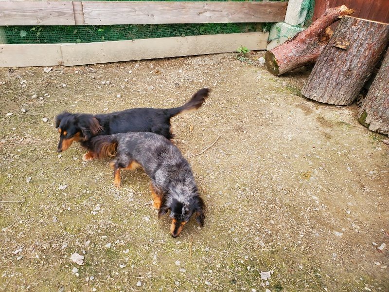 f:id:roukenhome-ann:20191024062744j:plain