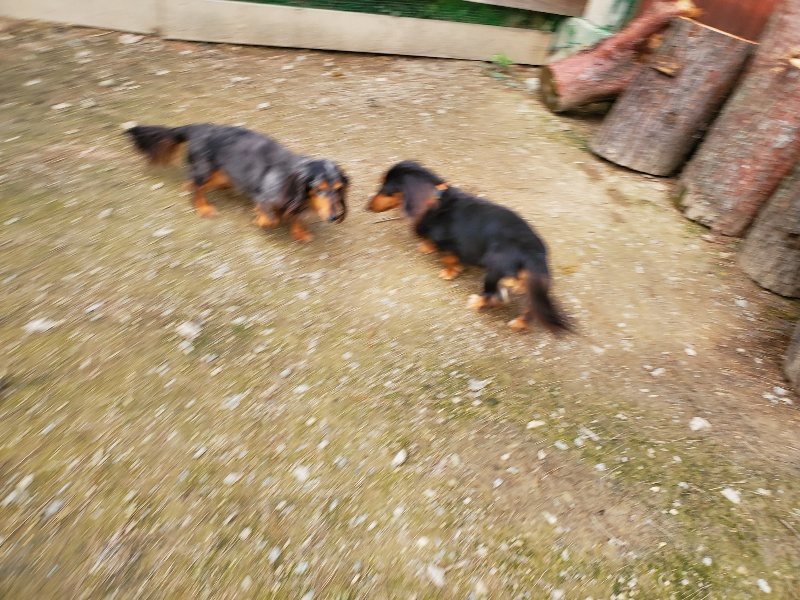 f:id:roukenhome-ann:20191024062750j:plain