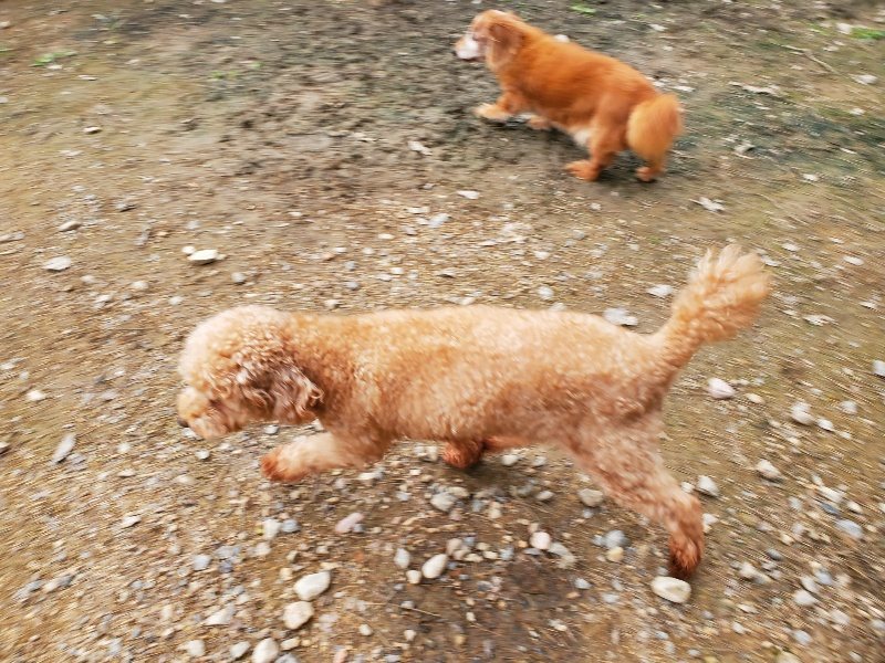 f:id:roukenhome-ann:20191024062805j:plain