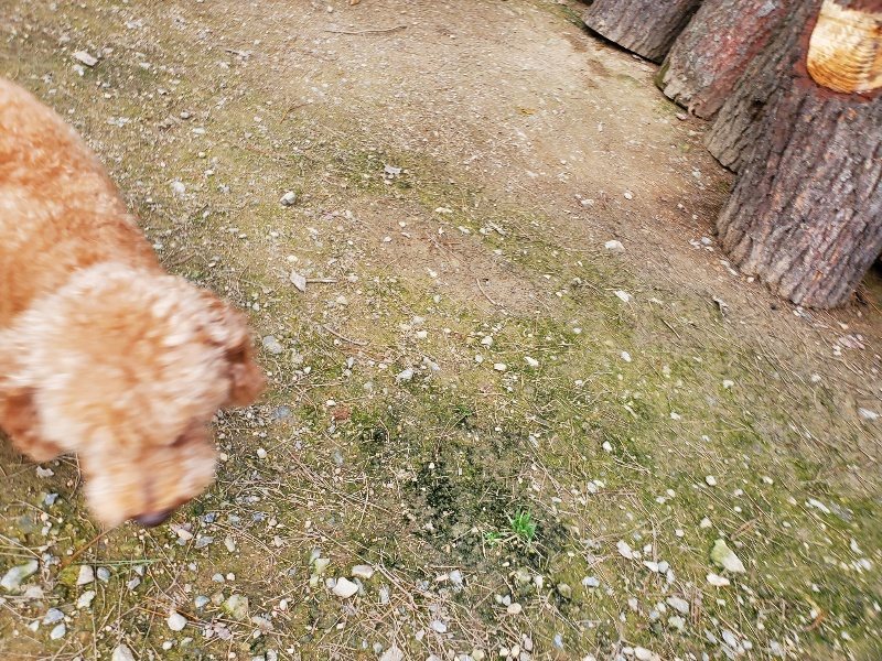 f:id:roukenhome-ann:20191024062843j:plain