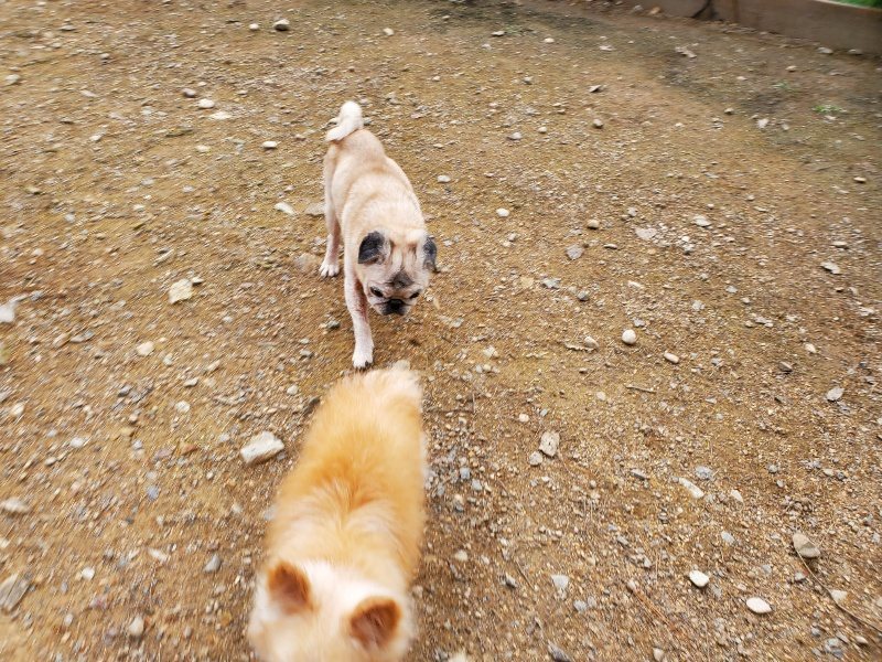 f:id:roukenhome-ann:20191024062902j:plain