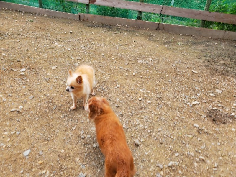 f:id:roukenhome-ann:20191024063000j:plain