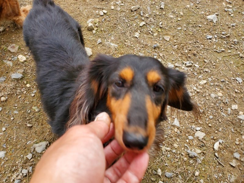 f:id:roukenhome-ann:20191024063038j:plain