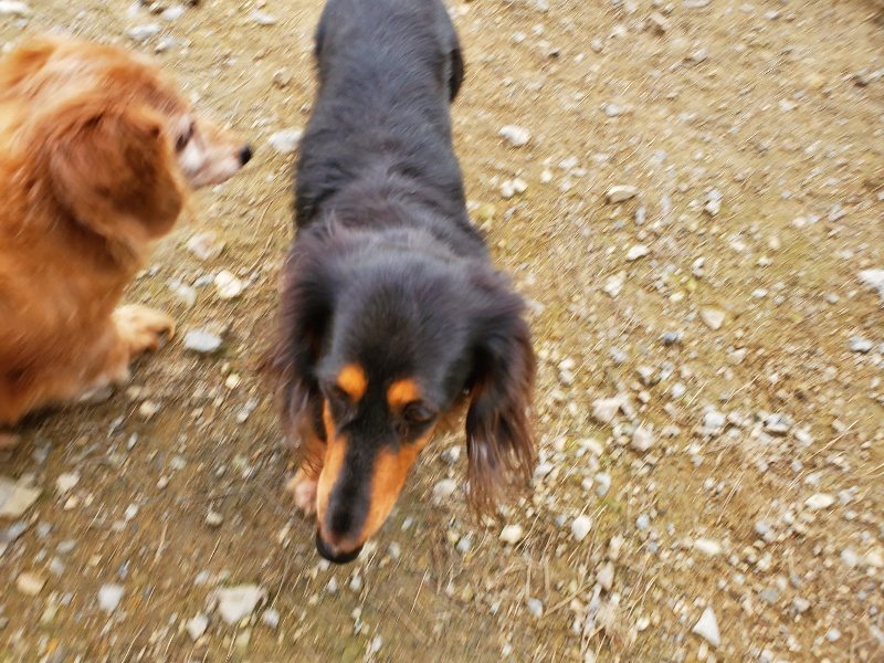 f:id:roukenhome-ann:20191024063049j:plain