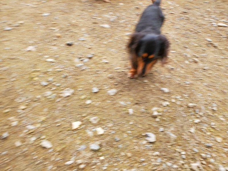 f:id:roukenhome-ann:20191024063058j:plain