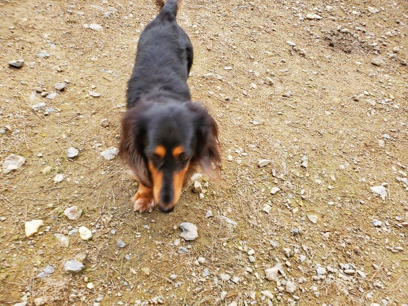 f:id:roukenhome-ann:20191024063119j:plain