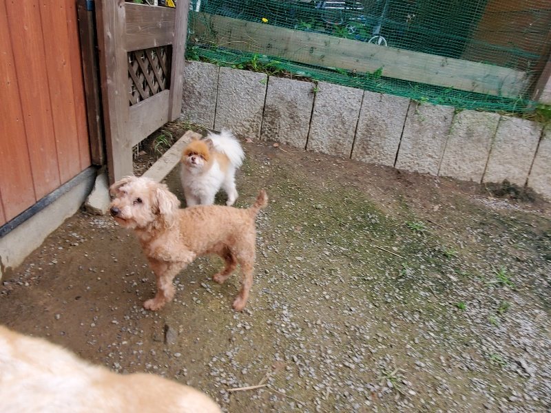 f:id:roukenhome-ann:20191024063200j:plain