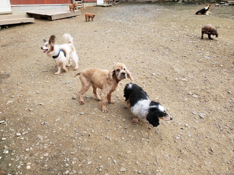 f:id:roukenhome-ann:20191024063258j:plain