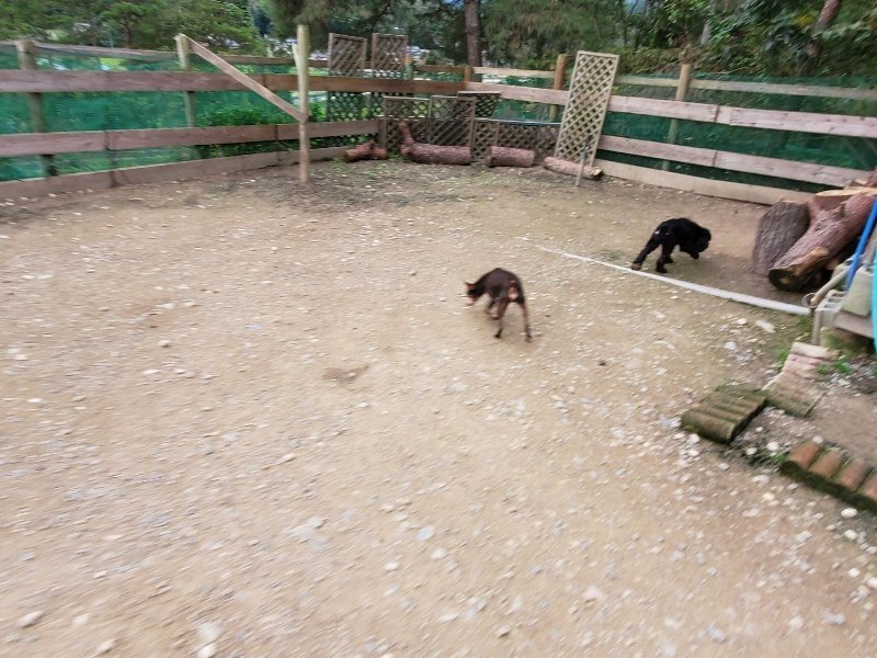 f:id:roukenhome-ann:20191024063319j:plain