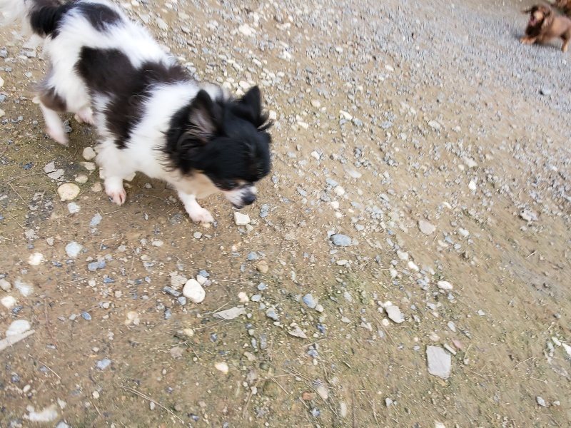 f:id:roukenhome-ann:20191024063342j:plain